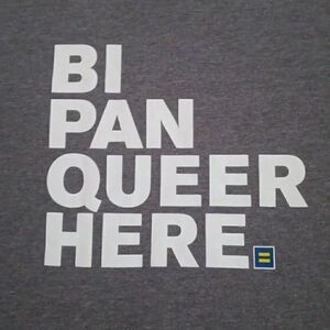 BI PAN QUEER HERE TSHIRT  Size XL Unisex  Brand: HRC.ORG Color Gray and white